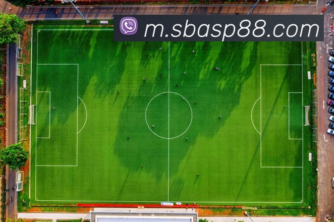 沙巴体育APP平台生态图